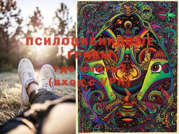 марки lsd Бугульма